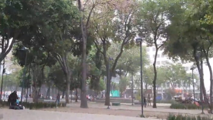 fuertes-vientos-en-la-ciudad-de-mexico-provocan-tolvaneras-y-caida-de-arboles-–-lopez-doriga