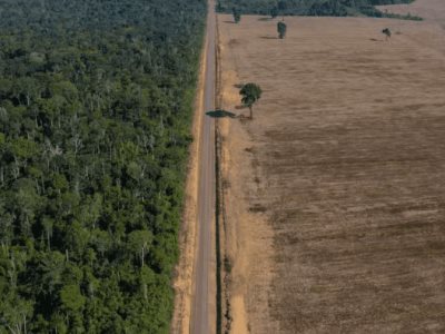 deforestacion-en-amazonia-brasilena-se-reduce-en-julio
