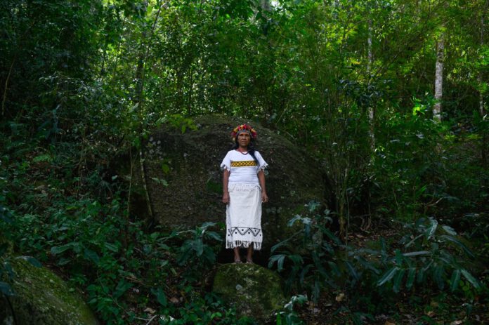 la-camara-baja-de-brasil-aprueba-un-proyecto-de-ley-que-limitaria-el-reconocimiento-de-las-tierras-ancestrales-indigenas
